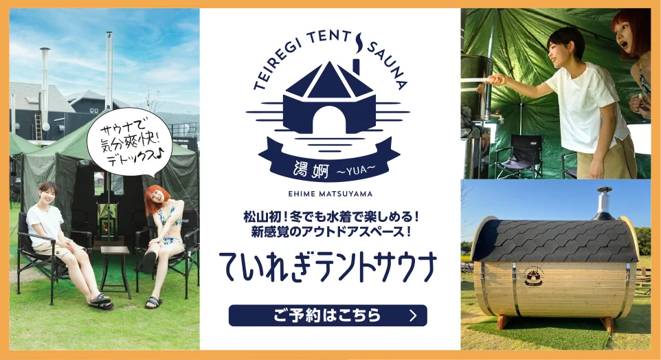南道後温泉 ていれぎの湯