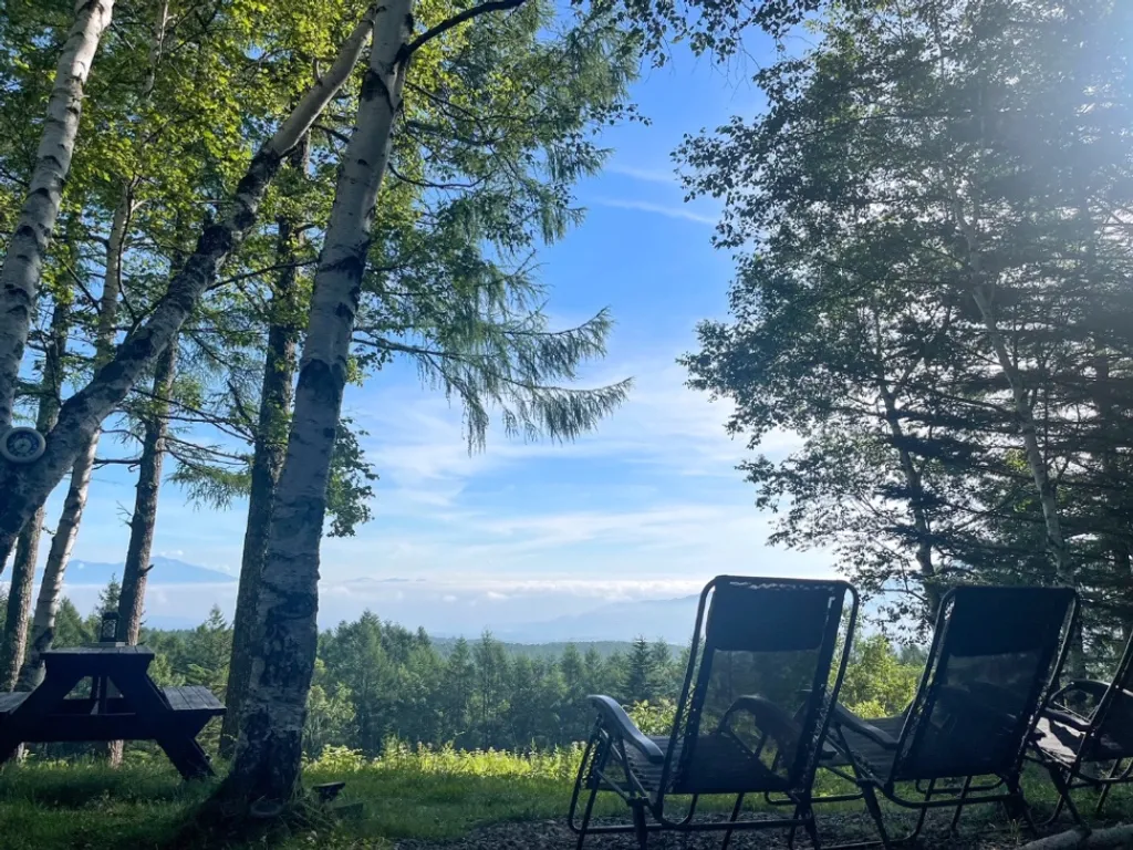 SAUNA TEN "Birch and cloud forest" 4