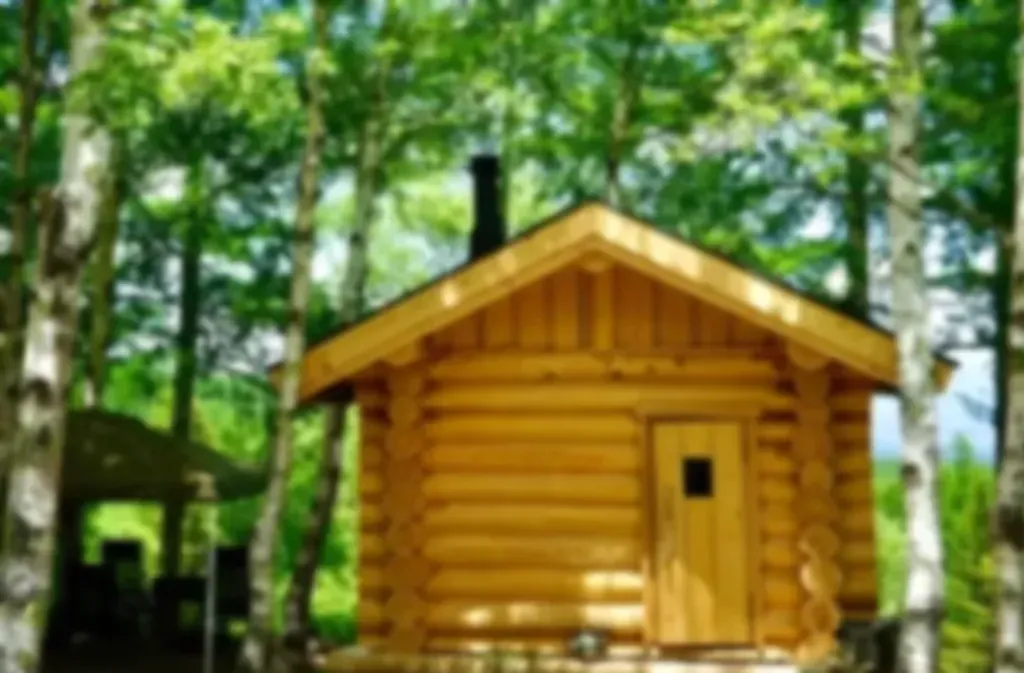 SAUNA TEN "Birch and cloud forest"